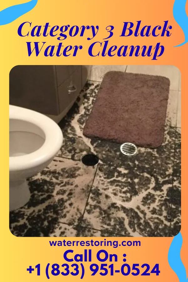 Category 3 Black Water Cleanup in Georgetown, OH