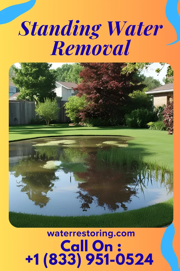 Standing Water Removal in Georgetown, OH